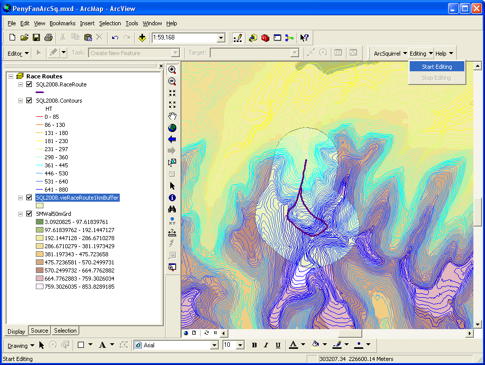 Preparing to edit ArcSquirrel data in ArcMap